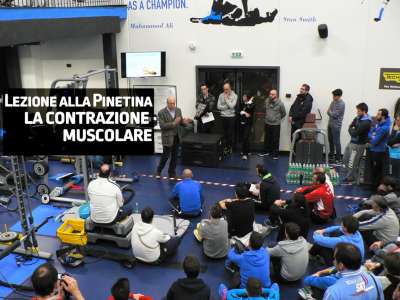 CALCIO: COME FUNZIONANO I MUSCOLI